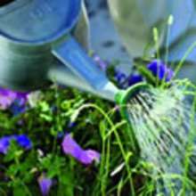 GARDENING - REPORTS - Reading online