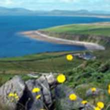 The Irish - Read - HOLIDAYS - ST. PATRICK'S DAY