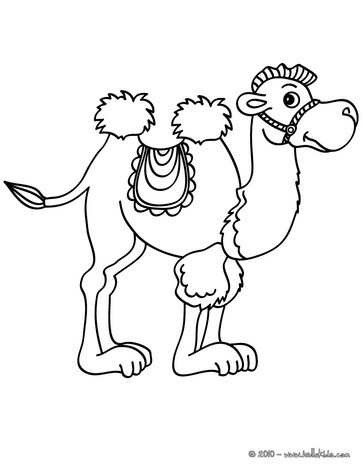 Colouring Camel