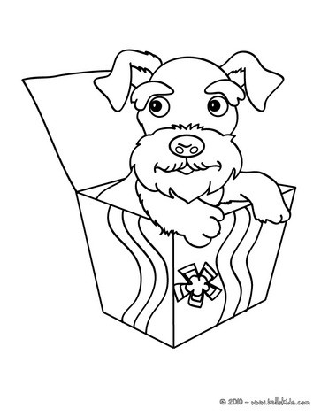  Coloring Sheets on Terrier Dog Coloring Page   Terrier Coloring Pages