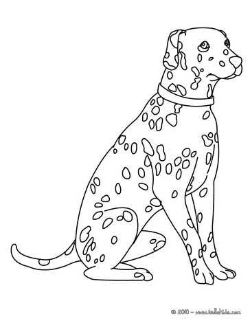 Dalmatian coloring pages - Hellokids.com