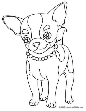 Chihuahua coloring pages - Hellokids.com