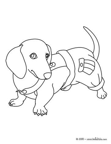 daschund coloring pages for kids - photo #3