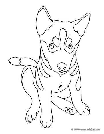 German shepherd puppy coloring pages - Hellokids.com