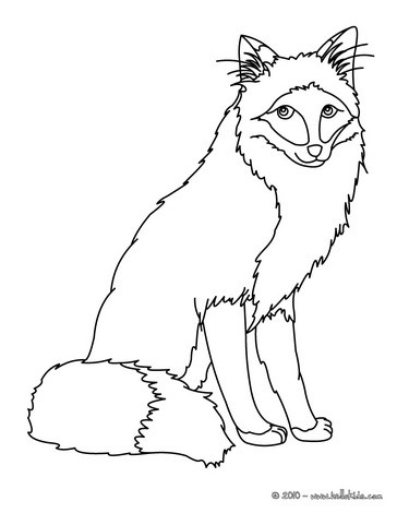 Colouring Page Fox