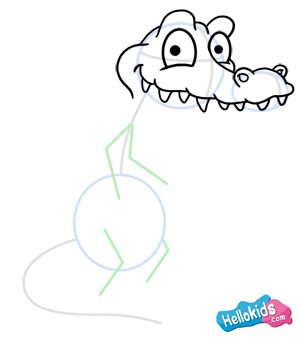 How to draw how to draw an alligator Hellokidscom