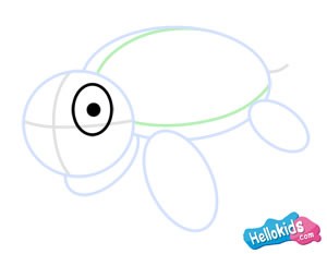 How to draw a sea turtle