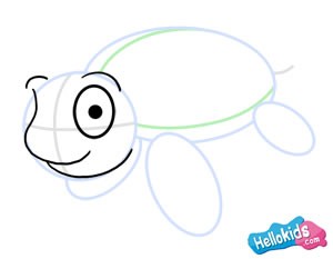 How to draw a sea turtle