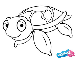 how to draw a simple sea turtle