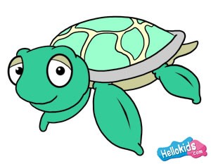 How to draw a sea turtle