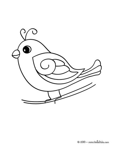 Cartoon Funny Images on Free Birds Coloring Pages Available For Printing Or Online Coloring