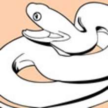 SNAKE coloring pages - ANIMAL coloring pages - Coloring page