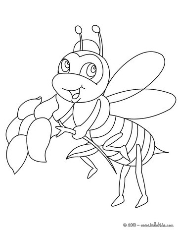 coloring bee