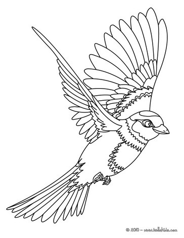 Flying bird coloring pages - Hellokids.com