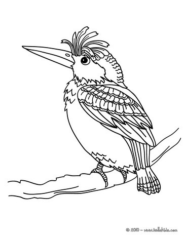 Woodpecker coloring pages - Hellokids.com