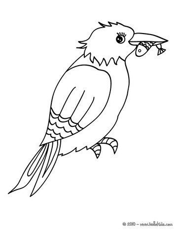 Online Coloring Pages on Common Kingfisher Online Coloring   Common Kingfisher Coloring Pages