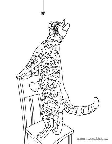 Playing cat coloring pages - Hellokids.com