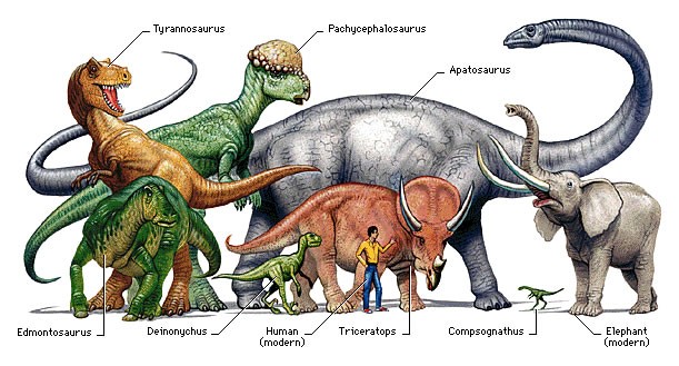 The Dinosaurs