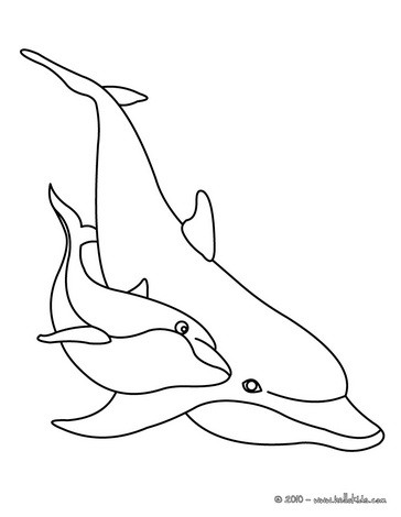 Dolphins Online Coloring Pages Hellokids Page Football