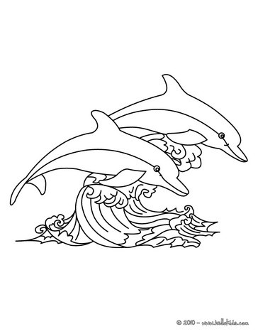 Dolphin Coloring Pages on Your Favorite Coloring Pages In Dolphin Coloring Pages  Enjoy Coloring
