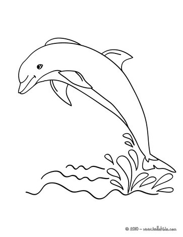 Dolphin Coloring Pages on Dolphin To Print Out   Dolphin Coloring Pages