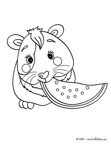  Coloring Pages on Pig Coloring Page Sleeping Guinea Pig Coloring Page Guinea Pig Online