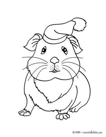  Coloring on Guinea Pig Wearing A Hat Coloring Page   Guinea Pig Coloring Pages