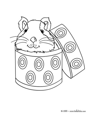  Coloring Sheets on Guinea Pig In A Box Coloring Page   Guinea Pig Coloring Pages
