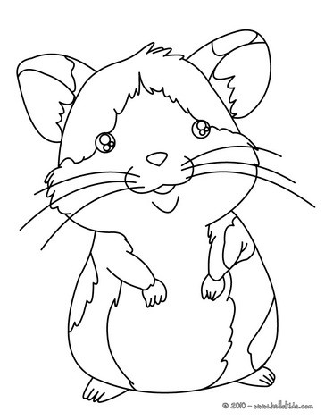 Coloring Pages on Selected The Most Popular Coloring Pages  Like Hamster Coloring Page