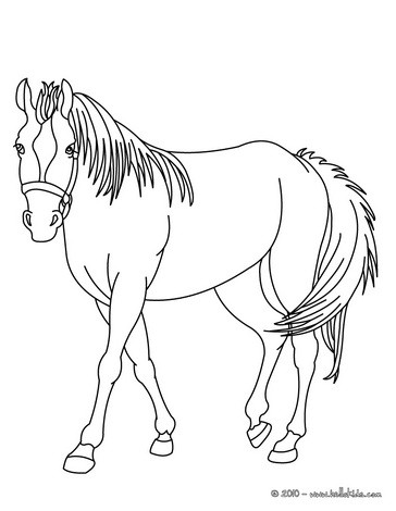 Desenhos de cavalo para colorir