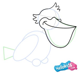How to draw a PELICAN