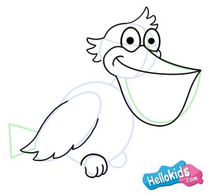 How to draw a PELICAN