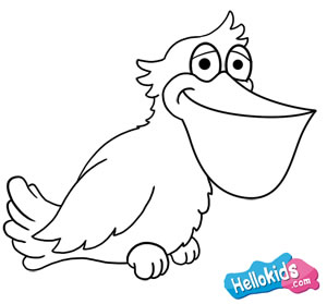 How to draw how to draw a pelican - Hellokids.com