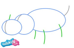 How to draw a rhinoceros