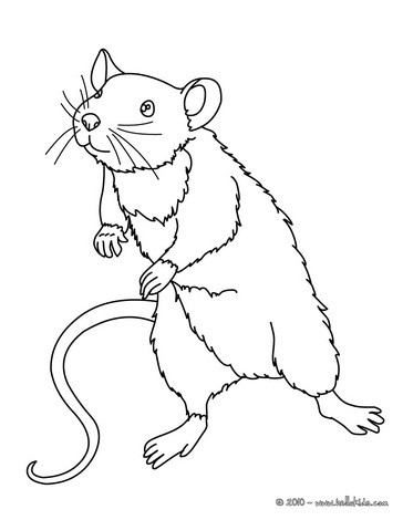 Coloring Pages  Kids on Mouse Online Coloring Mouse Coloring Page