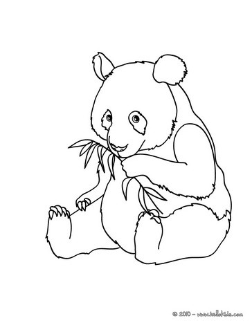 giant panda bear coloring pages