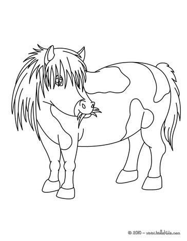Pony Coloring Pages on Pony Coloring Page   Pony Coloring Pages