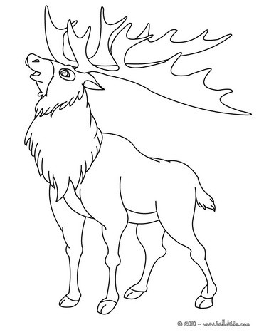 Coloring Pages Reindeer. free people coloring pages