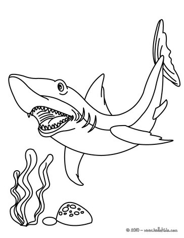 Cute Shark Coloring Pages Hellokids Color Page Animal Sea Animals