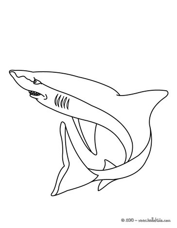 Shark Coloring Pages on Shark Picture To Color   Shark Coloring Pages
