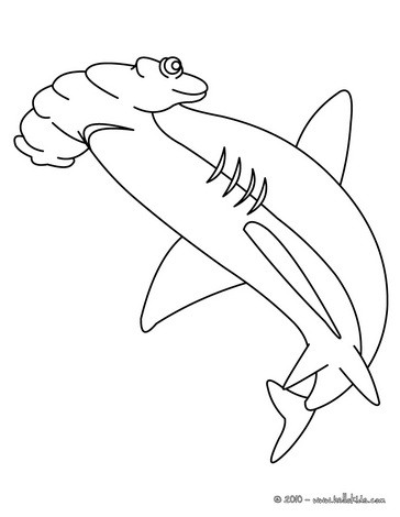 Coloring Sheets  on Hammerhead Shark Online Coloring   Shark Coloring Pages