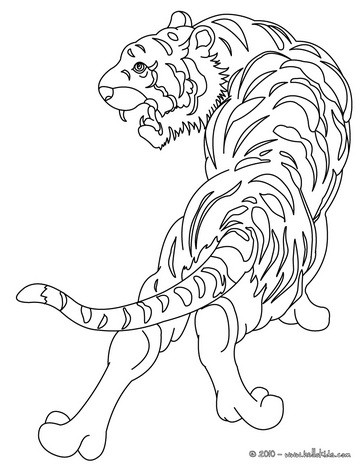 Tiger Coloring Pages on Tiger Online Coloring Kawaii Tiger Coloring Page Tiger Coloring Page
