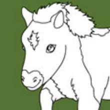 PONY coloring pages - ANIMAL coloring pages - Coloring page