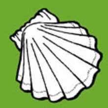 Sea shell coloring page