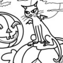 BLACK CAT coloring pages - HALLOWEEN coloring pages - Coloring page