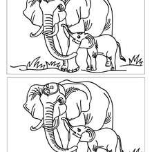 ELEPHANT find the 12 differences