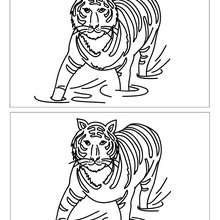 TIGER find the 12 differences game