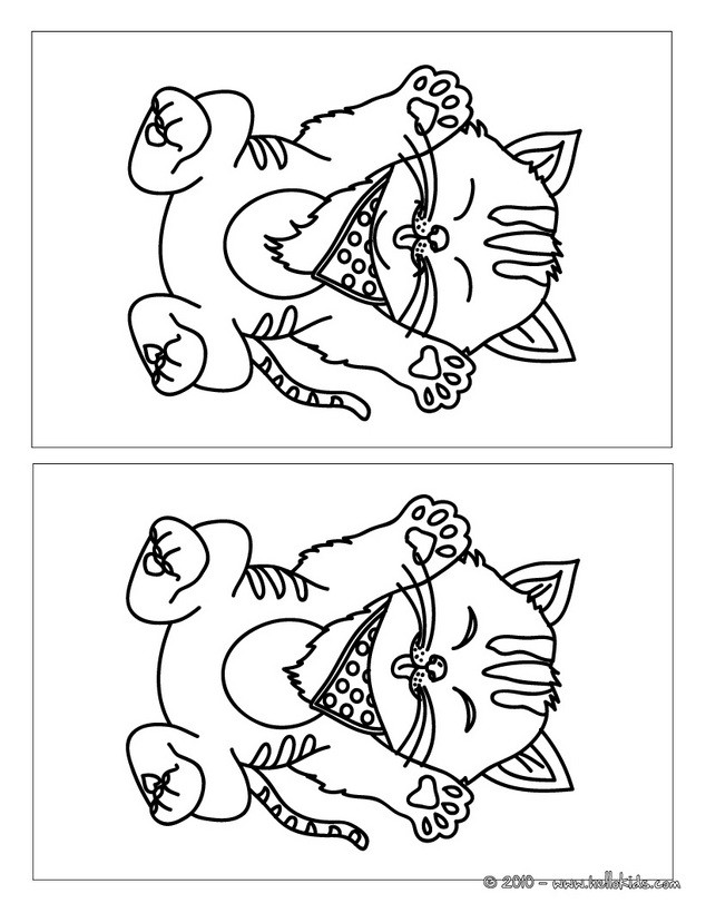 CAT find the 10 differences - ANIMAL difference games : hellokids.com