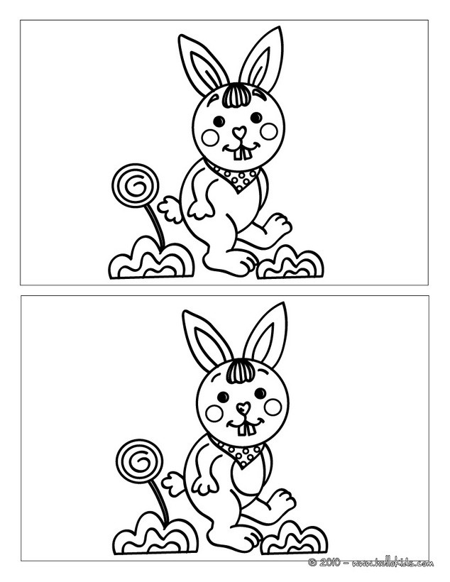 rabbit jokes