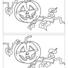 PUMPKINS spot the 5 differences